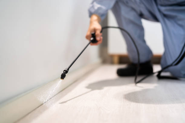 Licensed Fumigation Services service in Crossett, AR - Nex Pest Control