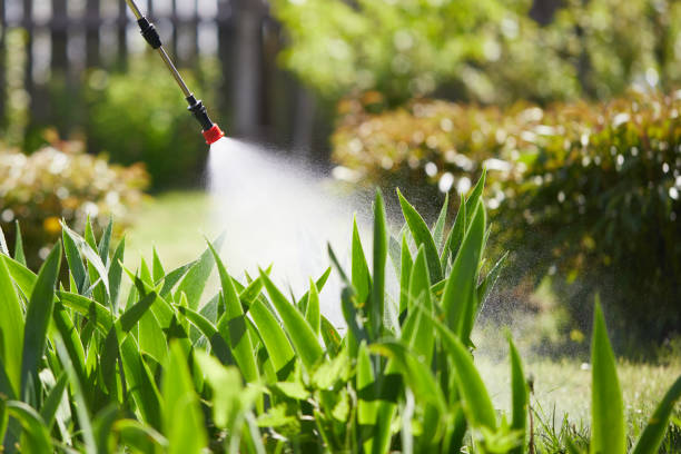 24/7 Emergency Fumigation Services experts in Crossett, AR