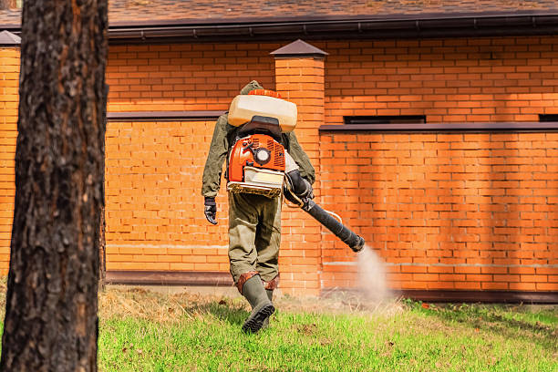 Top rated local Fumigation Services specialists in Crossett, AR